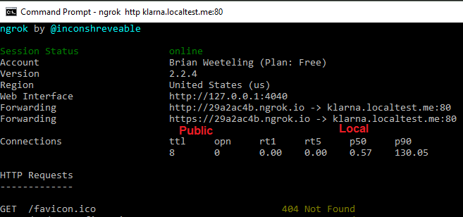 Ngrok in command prompt